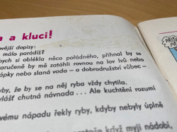 Čtyřlístek č. 59 - Popelka v domě - NELUŠTĚNÝ